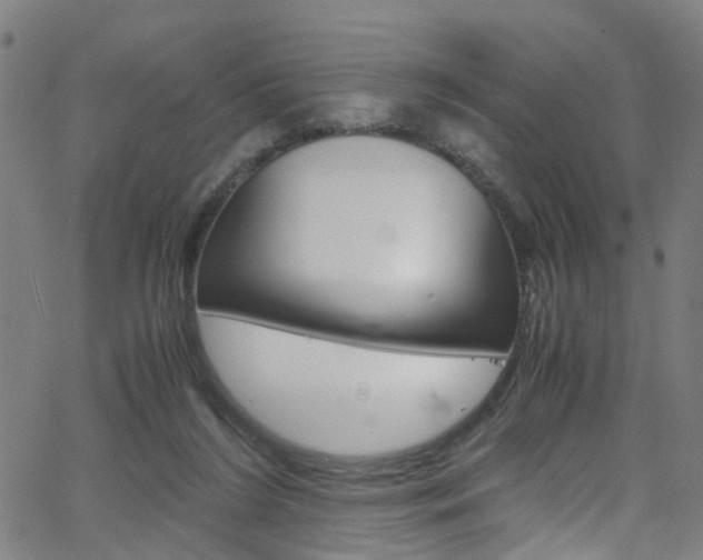 X0000063470212200601201003