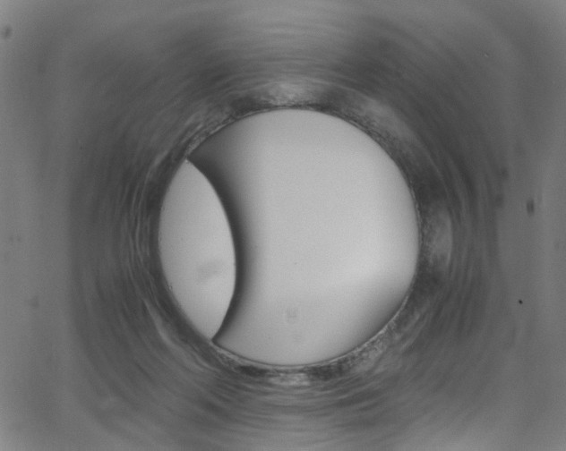 X0000063470214200601201003