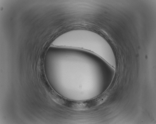 X0000063470217200601201003