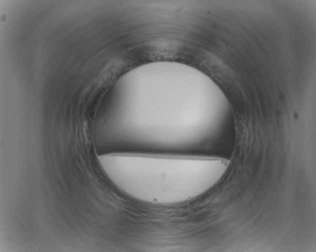 X0000063470224200601201003