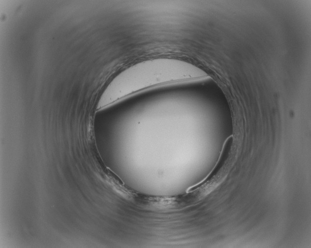 X0000063470288200601201003