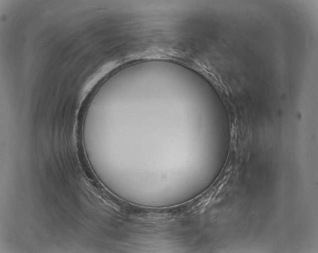 X0000063470292200601201002