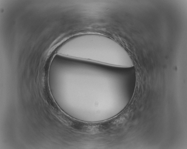 X0000063470295200601201002