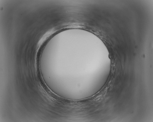 X0000063470296200601201002