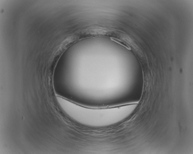 X0000063470309200601201002