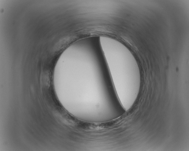 X0000063470311200601201002