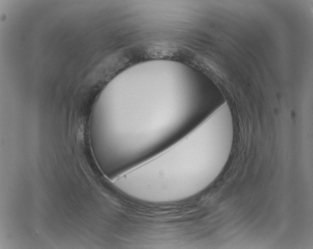 X0000063470315200601201002