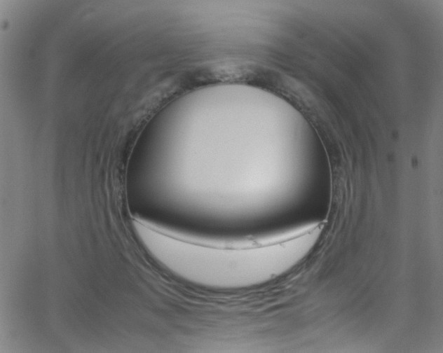 X0000063470317200601201002