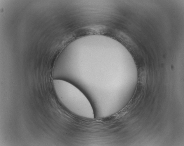 X0000063470318200601201002