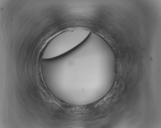 X0000063470338200601201001