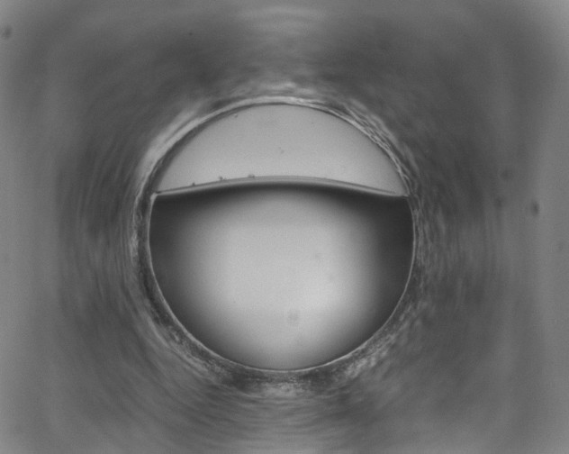 X0000063470344200601201001