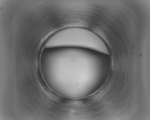 X0000063470348200601201001