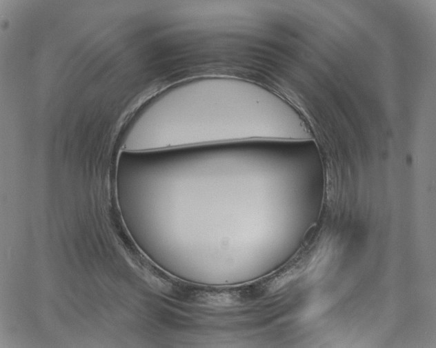 X0000063470349200601201001