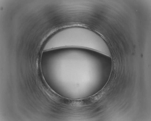 X0000063470350200601201001