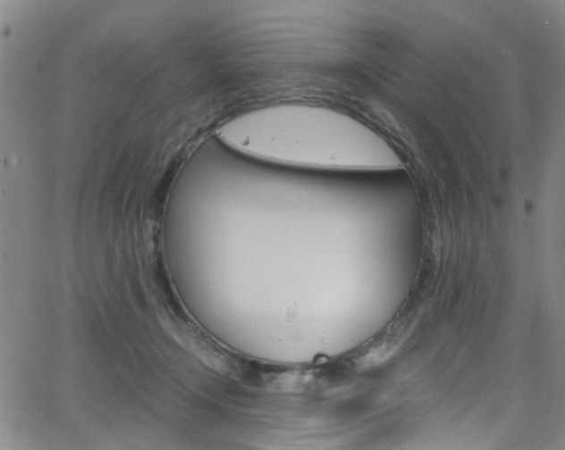 X0000063470366200601201001