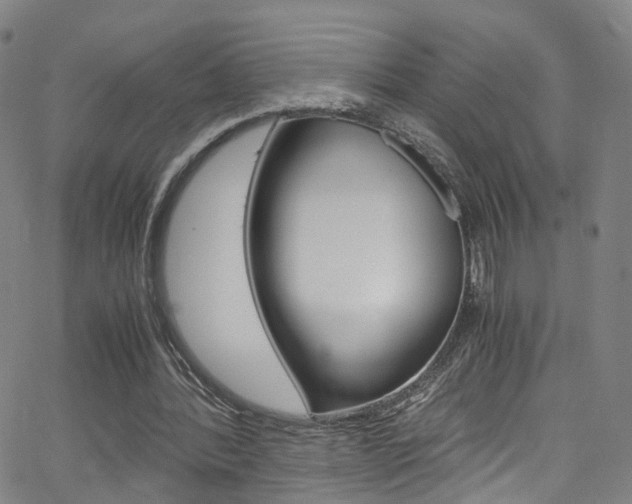 X0000063470388200601201000
