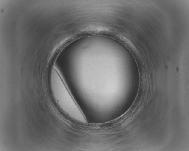 X0000063470399200601201000