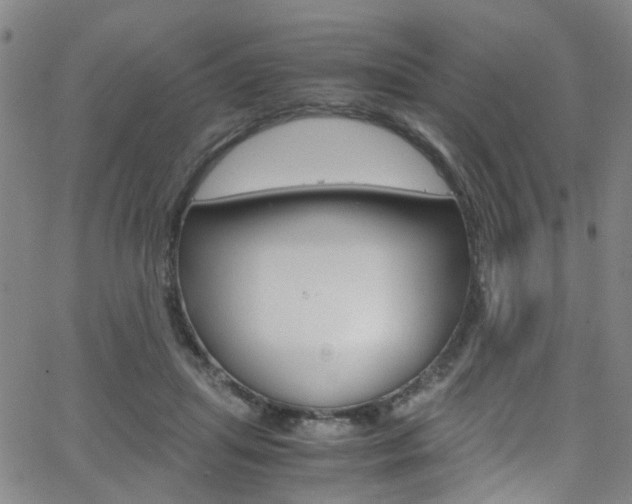 X0000063470455200601200959