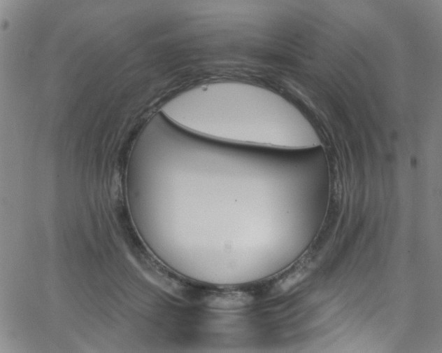 X0000063470459200601200959
