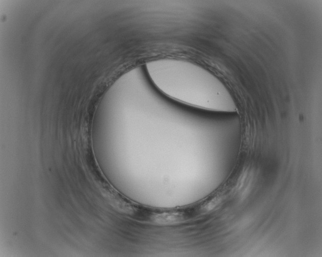 X0000063470461200601200959