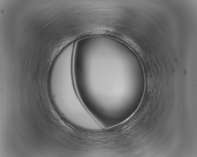 X0000063470485200601200959