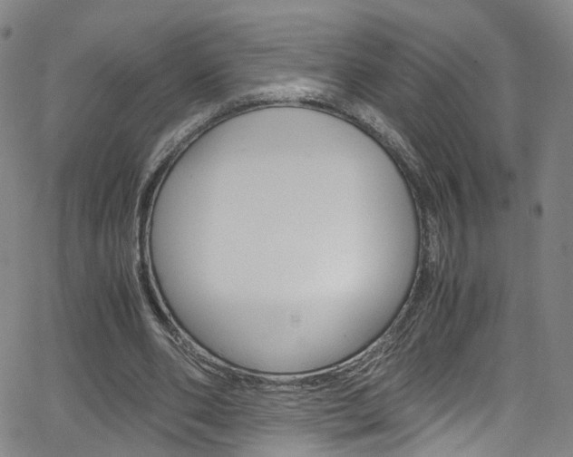 X0000063470486200601200959