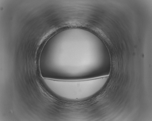X0000063470488200601200959