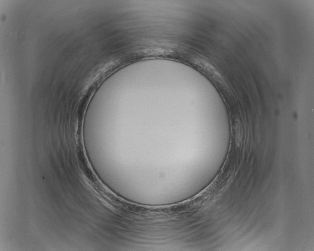 X0000063470490200601200959