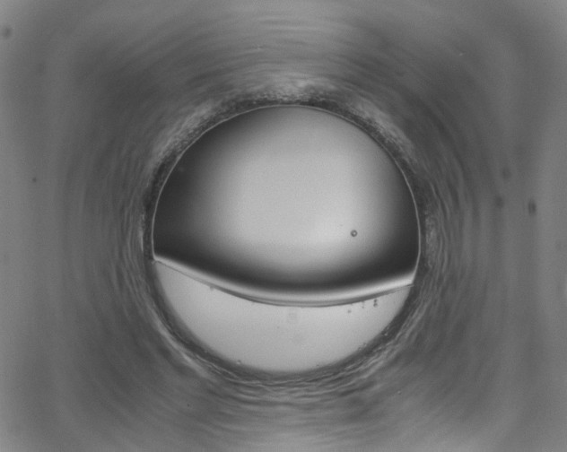 X0000063470493200601200959