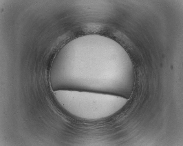 X0000063470498200601200959