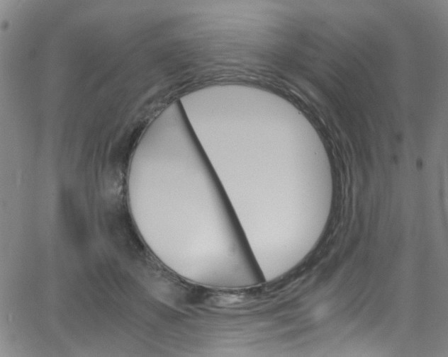 X0000063470507200601200958