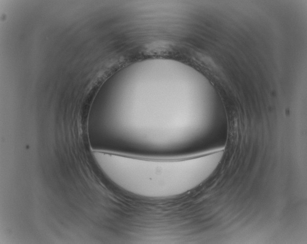 X0000063470508200601200958