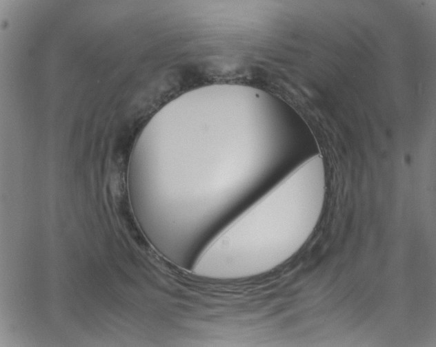 X0000063470515200601200958