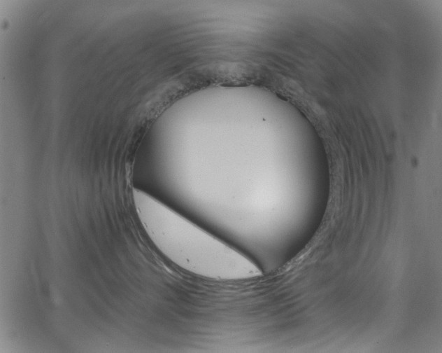 X0000063470528200601200958