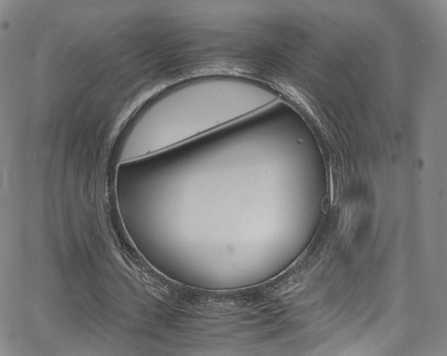X0000063470531200601200957