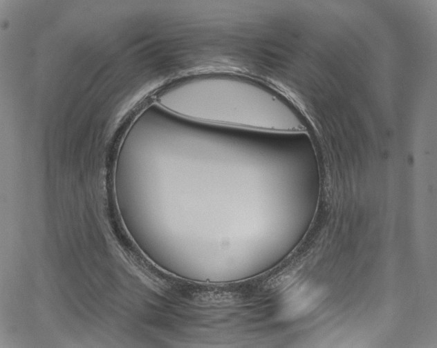 X0000063470535200601200957