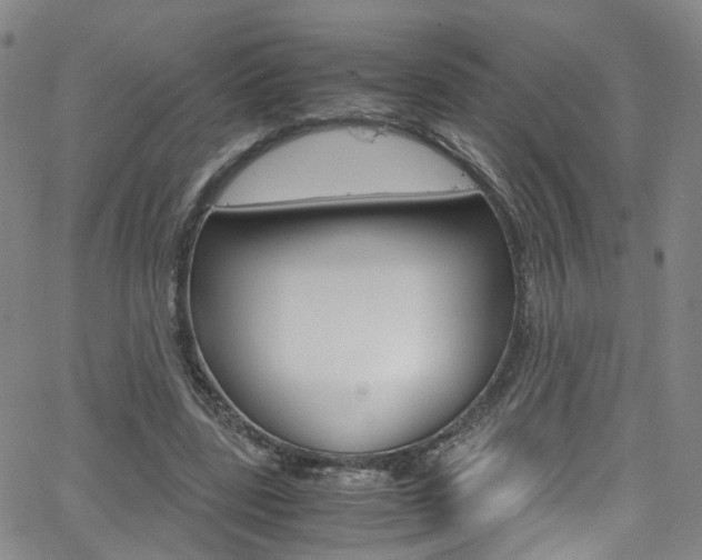 X0000063470539200601200958