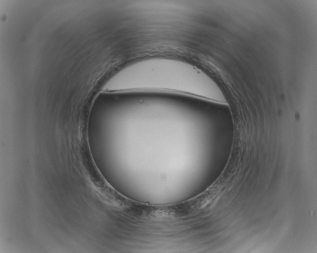 X0000063470546200601200958