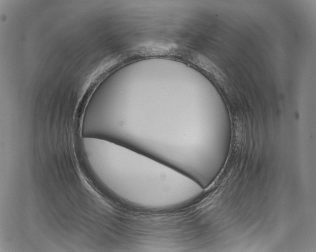 X0000063470582200601200957