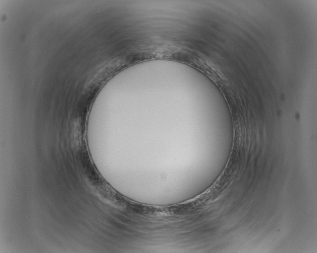 X0000063470594200601200957