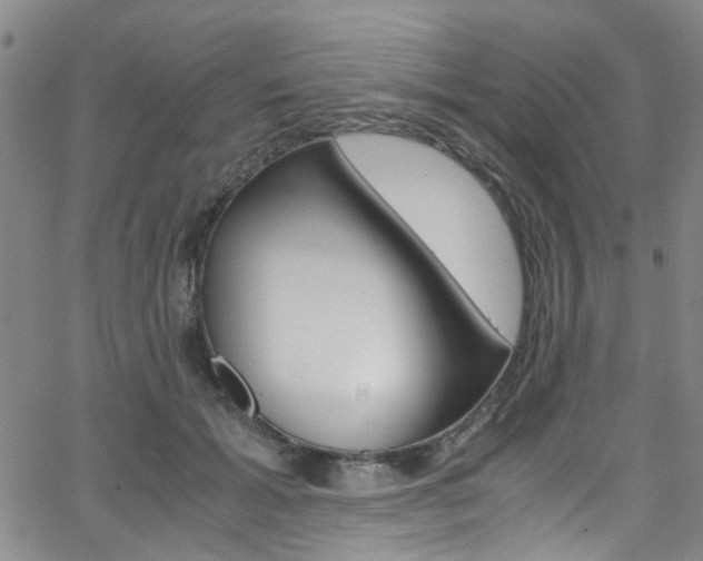 X0000063470605200601200957