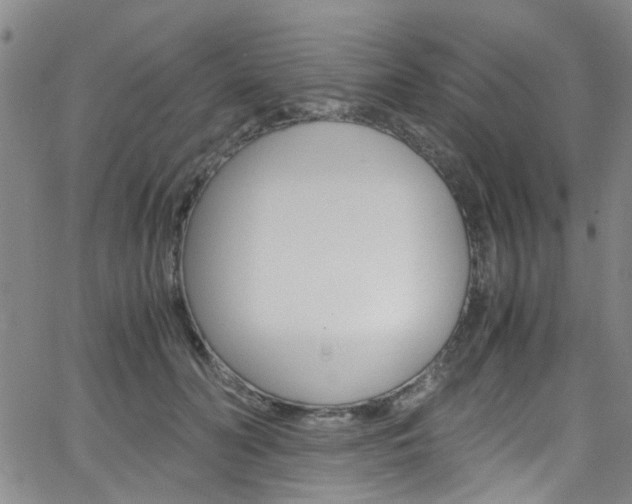 X0000063470606200601200957