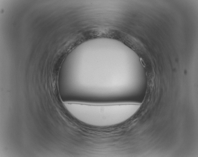 X0000063470607200601200957