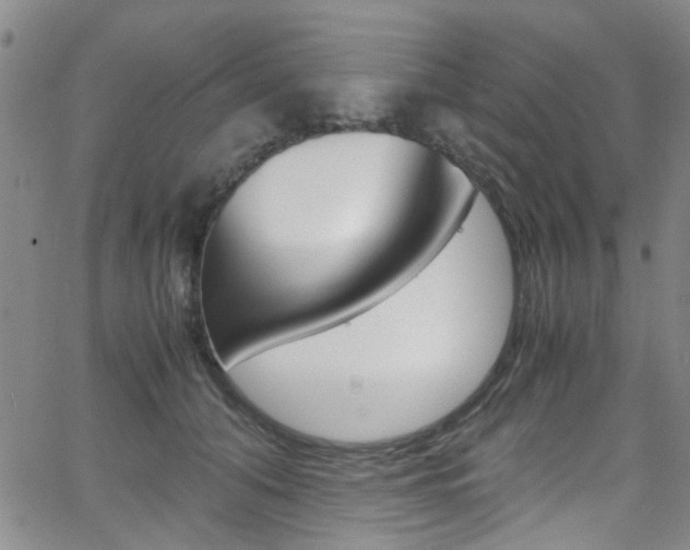 X0000063470608200601200957