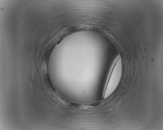 X0000063470617200601200957