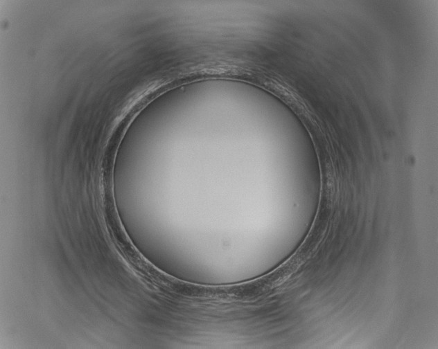 X0000063470626200601200956