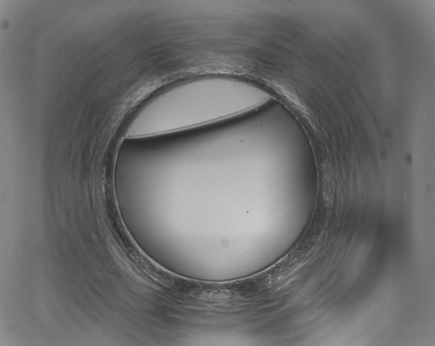 X0000063470631200601200956