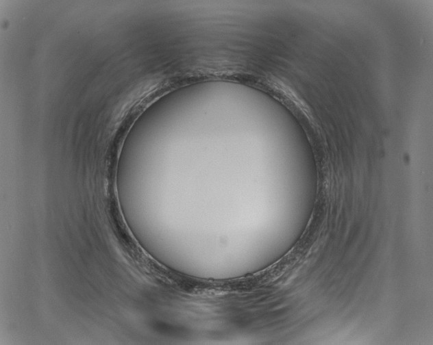 X0000063470635200601200956