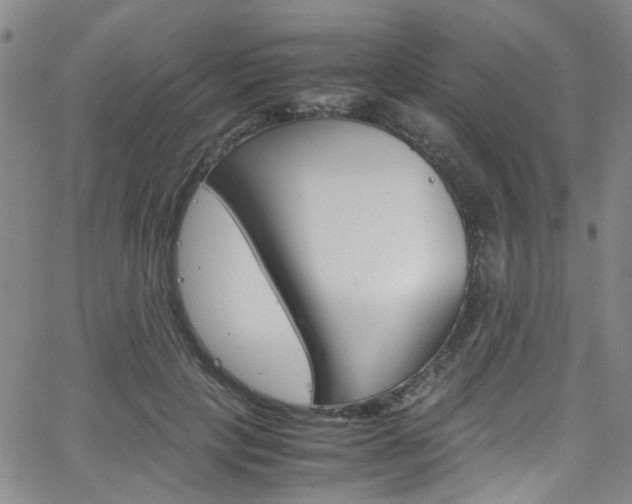X0000063470649200601200956