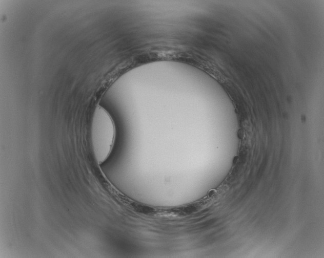 X0000063470650200601200956